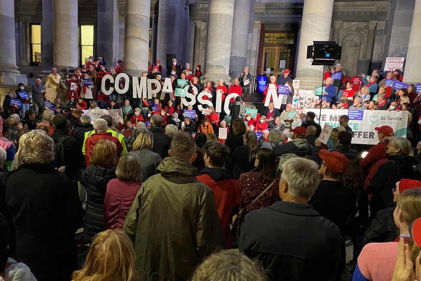 A euthanasia rally on the steps of SA Parliament.