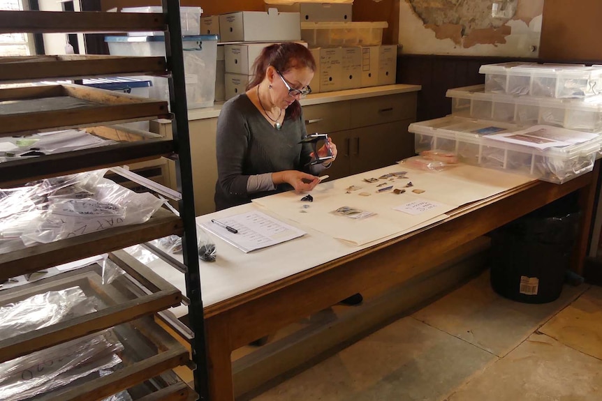 A woman sits at a desk surrounded by boxes, examining an archaeological artefact.