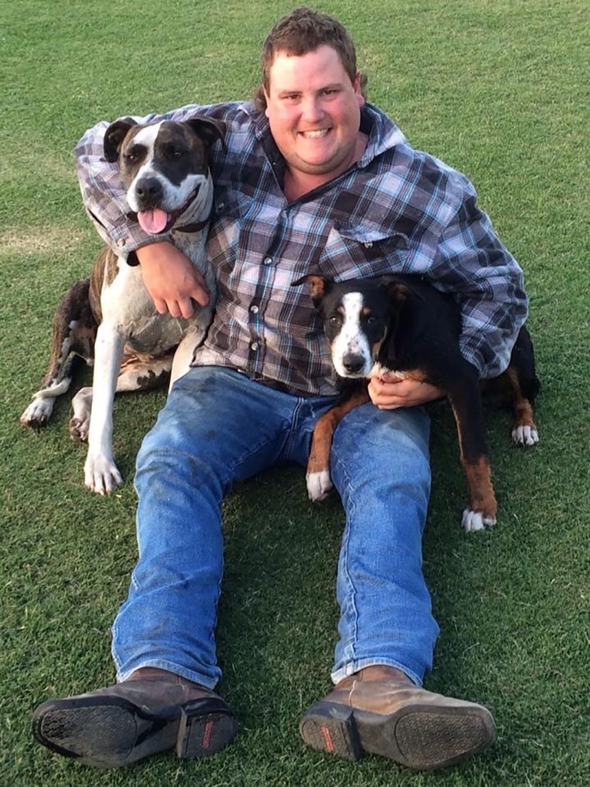 A man sitting on grass hugging two dogs