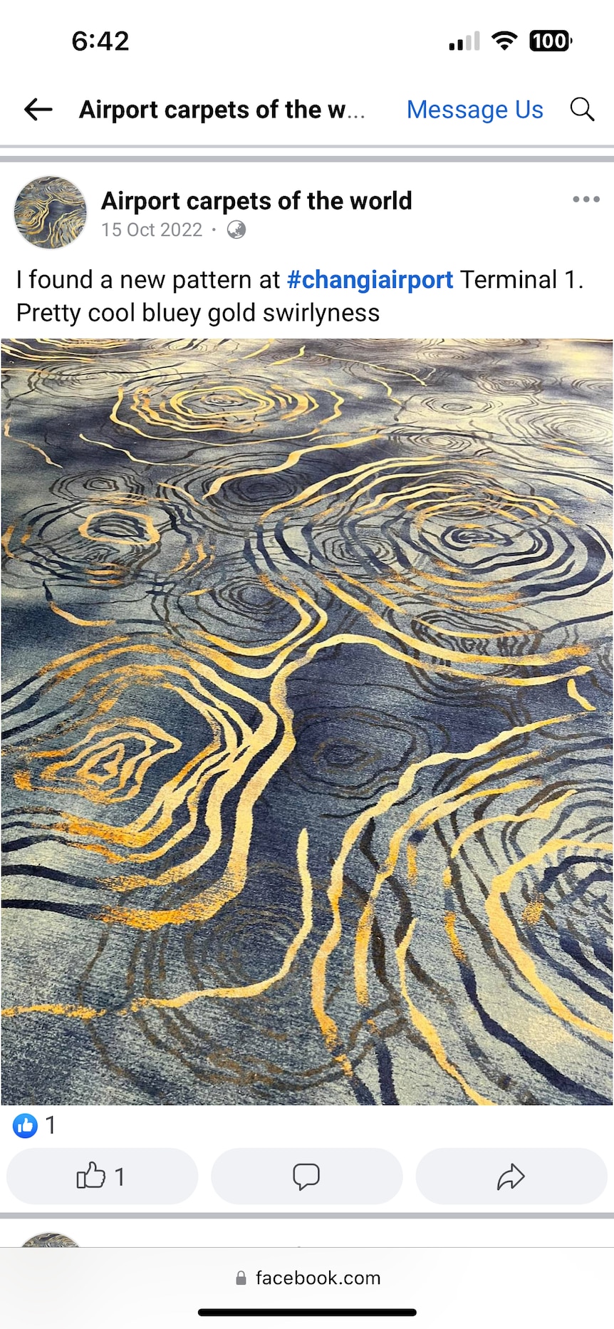 Image of Facebook group called Airport Carpets of the World and a photo of swirly blue carpet