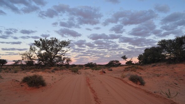 Simpson Desert Desert Conservation Park