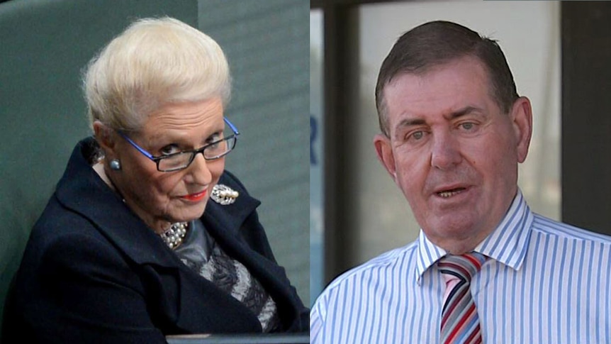 Composite of Bronwyn Bishop and Peter Slipper