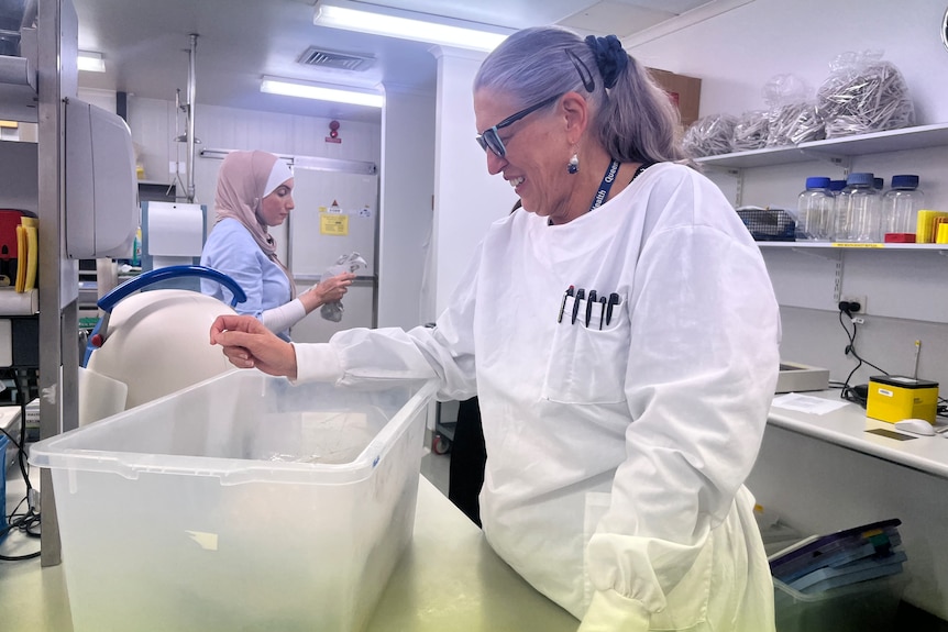 Two women work in a science lab