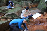 A group of three researchers testing and measuring water pollution in the Wingecarribee river.