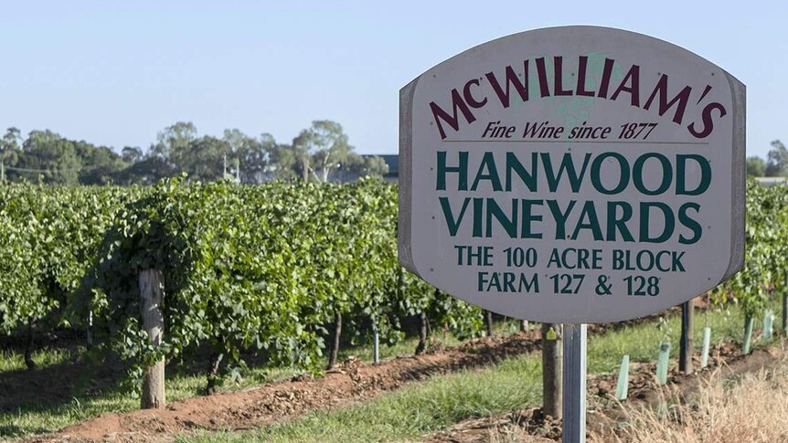 McWilliams Wines Hanwood Estate sign in front of vineyards