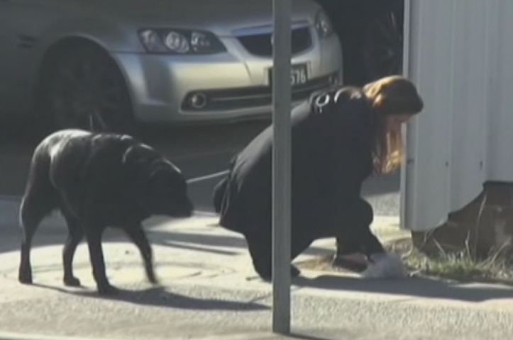 Emma Husar's staff member walking a dog.