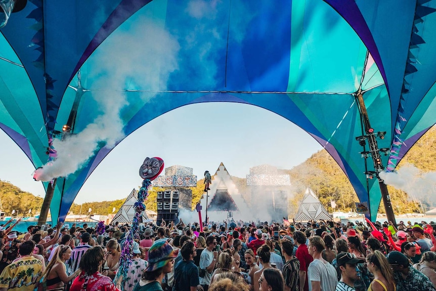 A crowd at a music festival