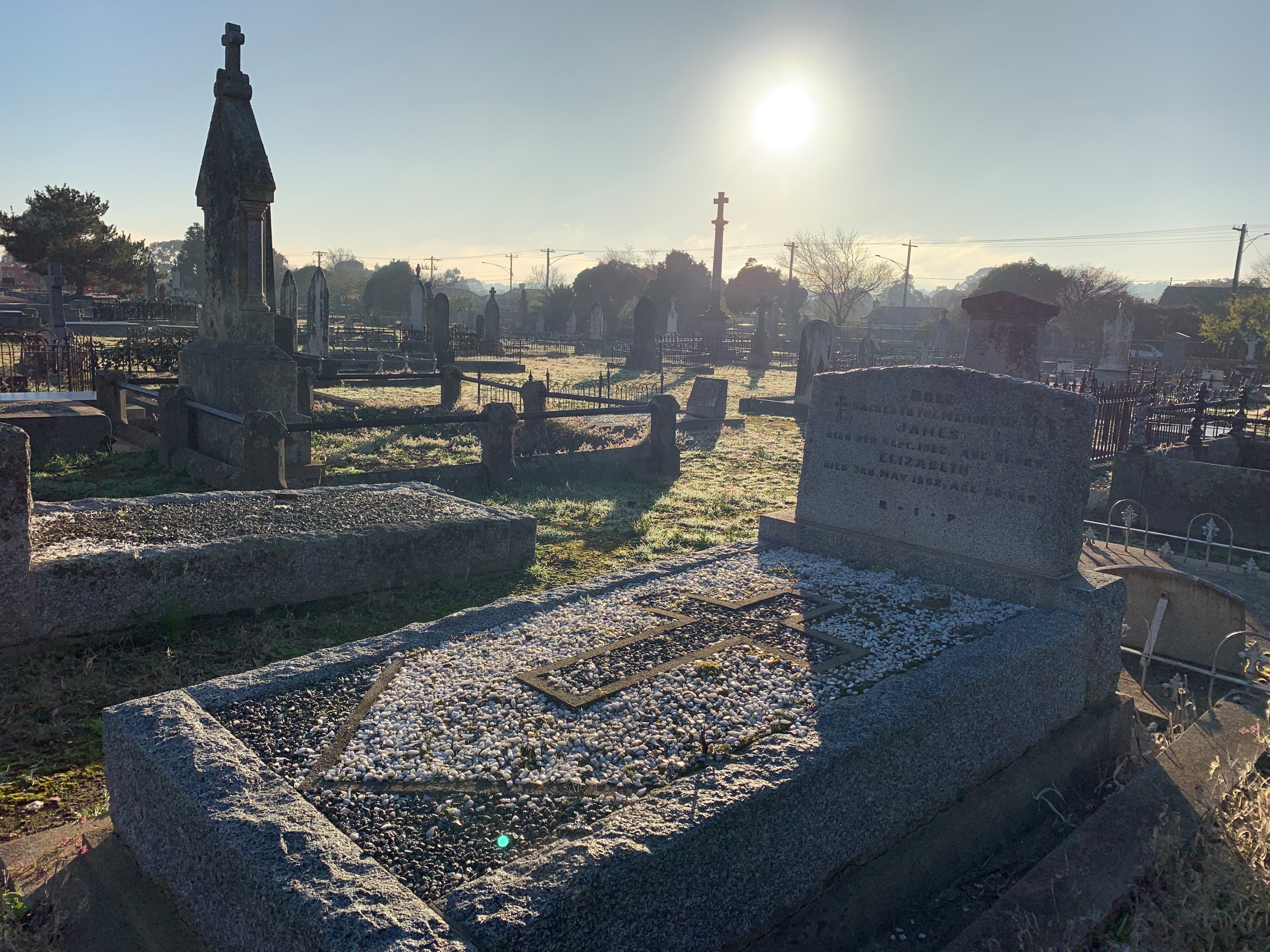 Older style concrete graves with large headstones and iron fencing set in an area with lawn.