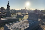 Older style concrete graves with large headstones and iron fencing set in an area with lawn.