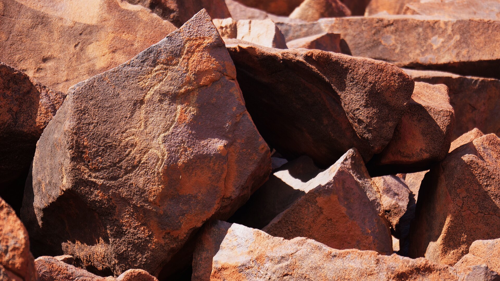 A lizard carved into the surface of a rock amongst many other rocks.