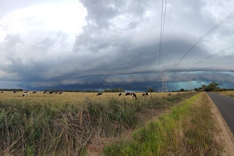 A panoramic photo of a circle of dark clouds sitting very low in the sky over farmland on a grey but bright day.