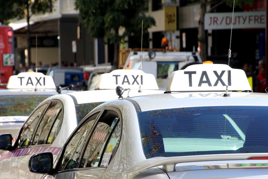Rear view of taxis lined up
