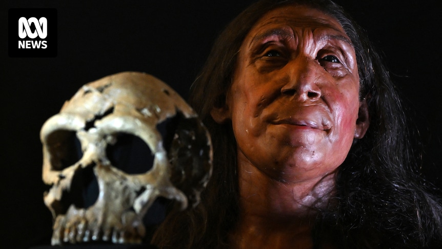 Britische Archäologen enthüllen rekonstruiertes Gesicht einer 75.000-jährigen Neandertalerin