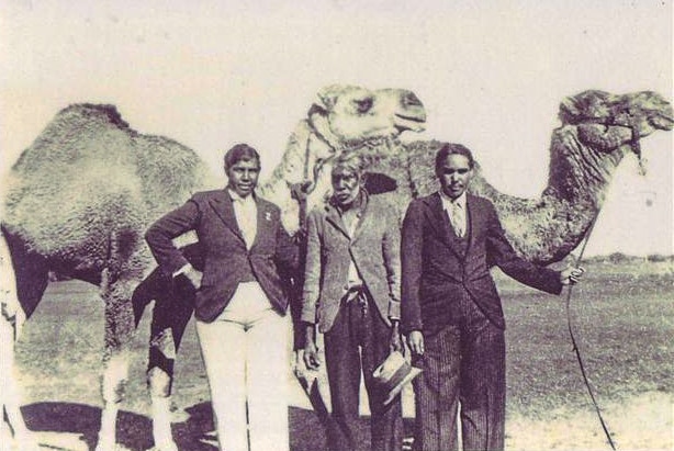 An old photo from the Mining Heritage Precinct with three cameleers and two camels