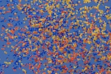 Thousands of colourful balloons floating away into the sky