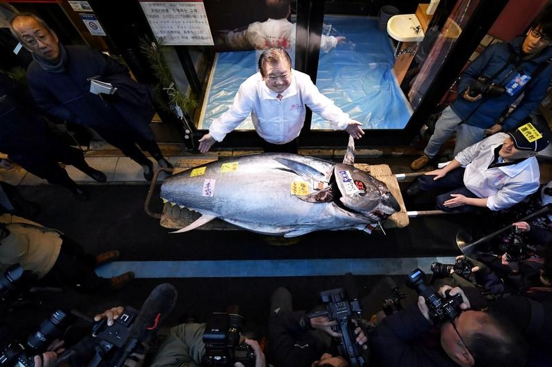 Tuna sold for $2.6 million