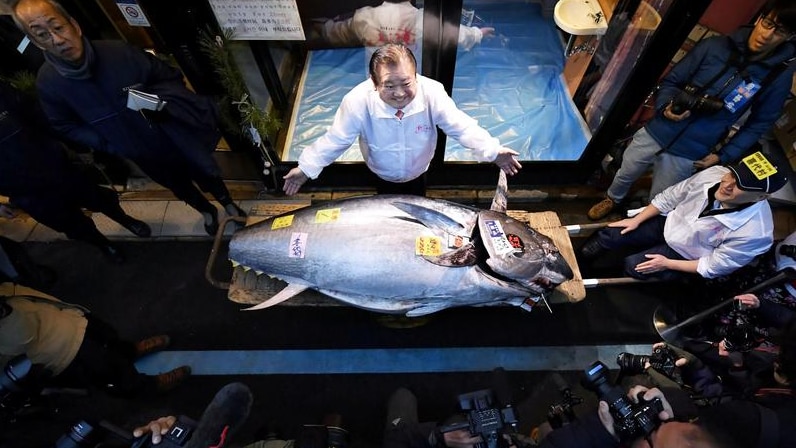 Tuna sold for $2.6 million