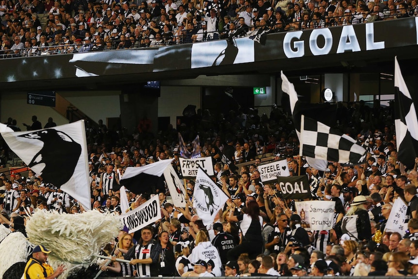 Magpies fans celebrate a goal in the rd 5, 2016 match between Collingwood and Essendon at the MCG.