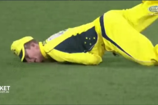 Steve Smith face plants after taking catch