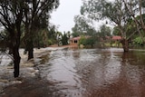 Floodwaters surround a house in Muluckine, near Northam in WA.