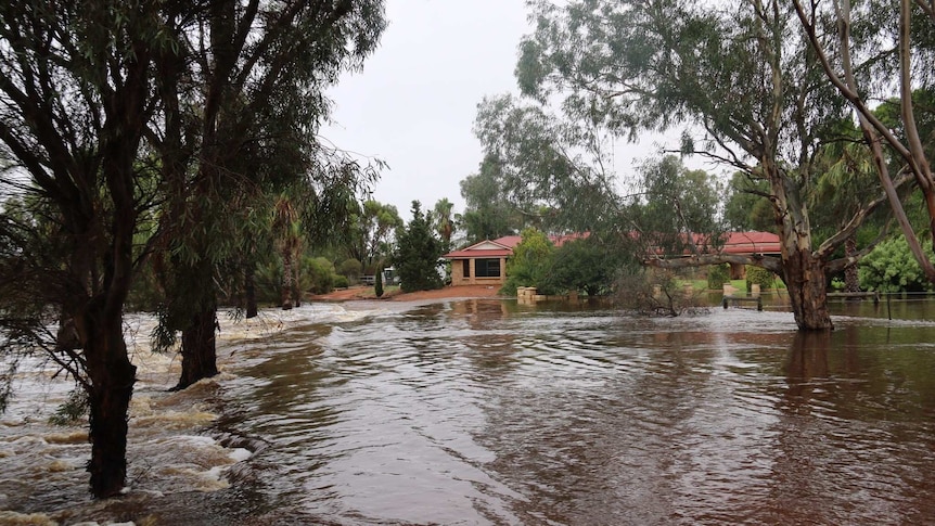 Floodwaters surround a house in Muluckine, near Northam in WA.