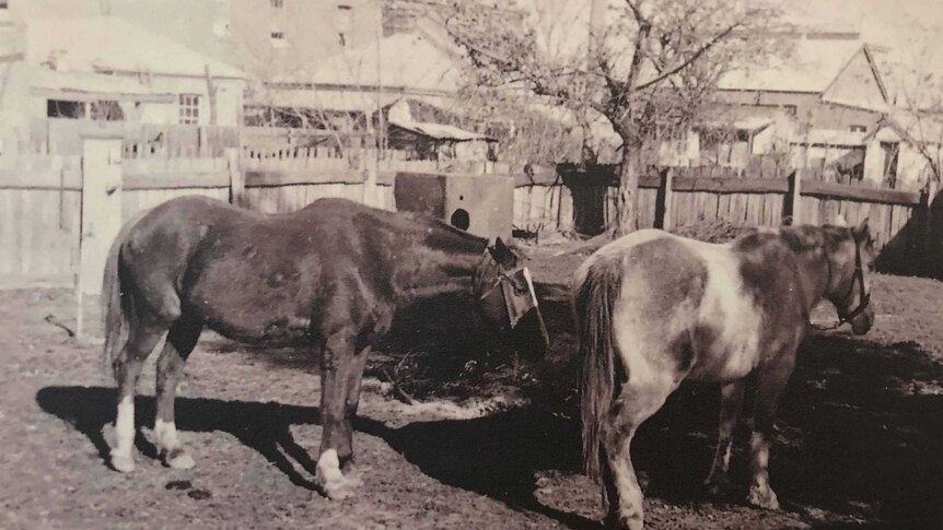 Black and white photo of two horses in a yard.