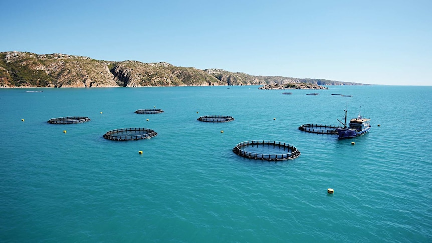 A boat and cages at Cone Bay in the Kimberley