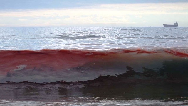 An algal bloom off Newcastle turns the waves a deep shade of red.