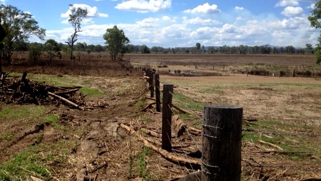 Severely flood-damaged paddock in Monto in Qld's North Burnett