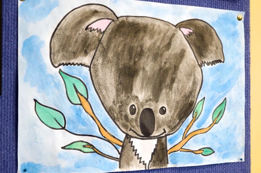 Drawing of koala.