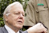 British naturalist Sir David Attenborough has moved off narrating insects and onto Adele's new single Hello