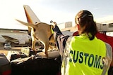 A customs officer works with a sniffer dog to check airport baggage