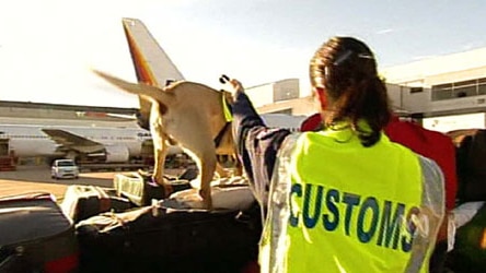 A customs officer works with a sniffer dog to check airport baggage