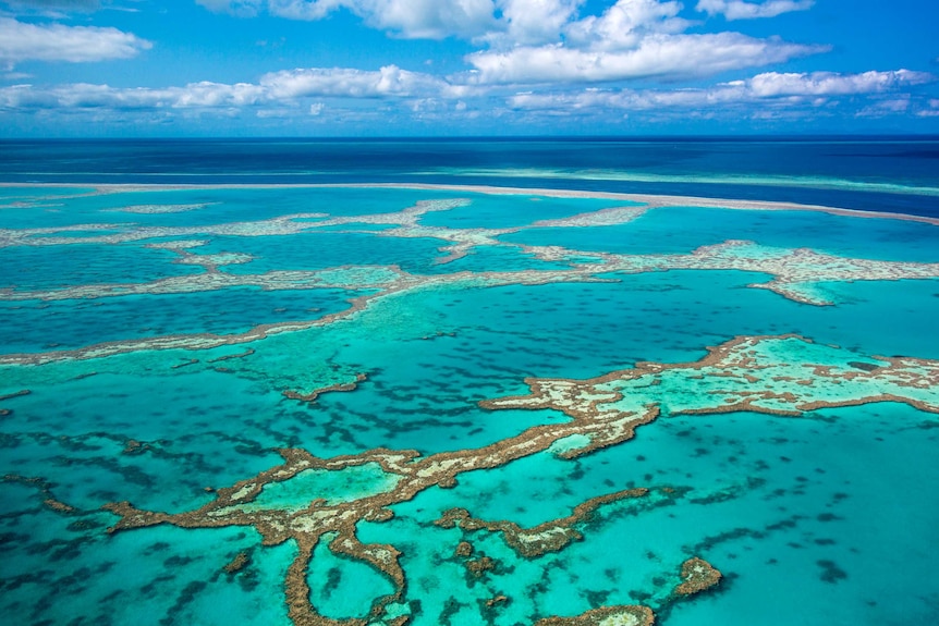 Aerial photo of the Great Barrier Reef