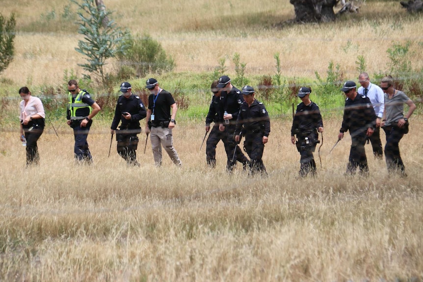 Police conduct a line search in grassland.