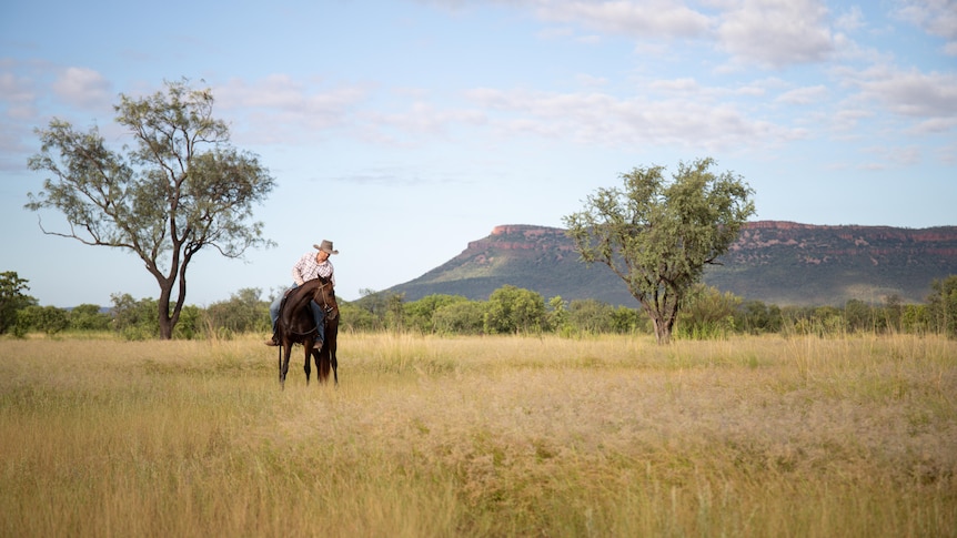 A person on horseback in a grassy field with a mountain range in the background.