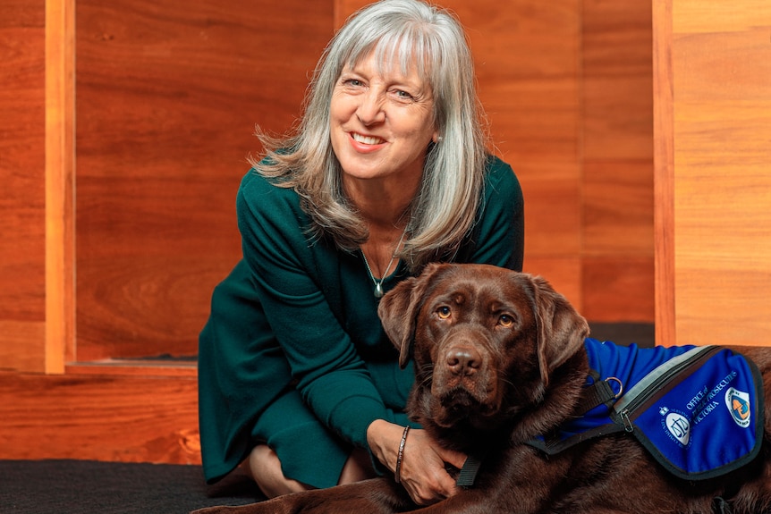 A woman in a dark green dress smiles while kneeling down next to a gorgeous chocolate labrador wearing a blue vest