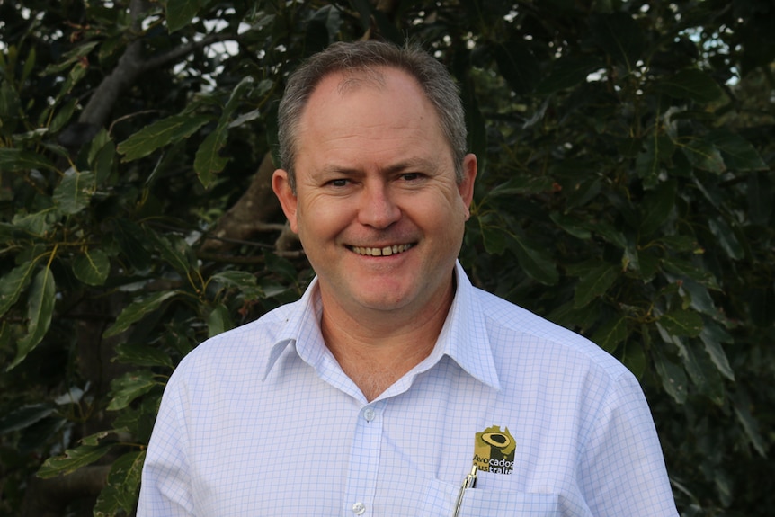 A middle-aged man with receding dark hair, wearing a checked shirt with an avocado embroidered on it