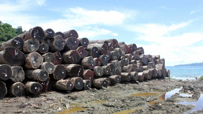 Kwila logs piled for export in Turubu