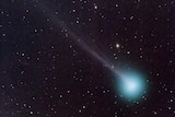 A bright blue spot of light on a dark night sky surrounded by stars. The blue light is comet SWAN.