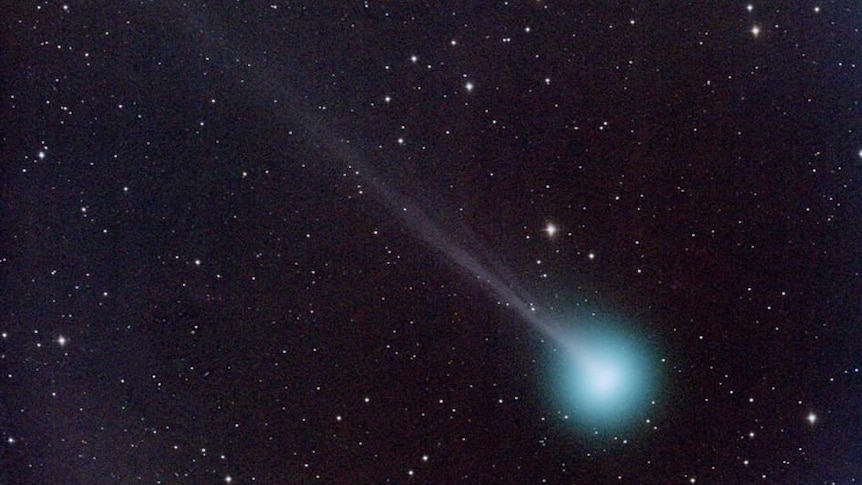 A bright blue spot of light on a dark night sky surrounded by stars. The blue light is comet SWAN.