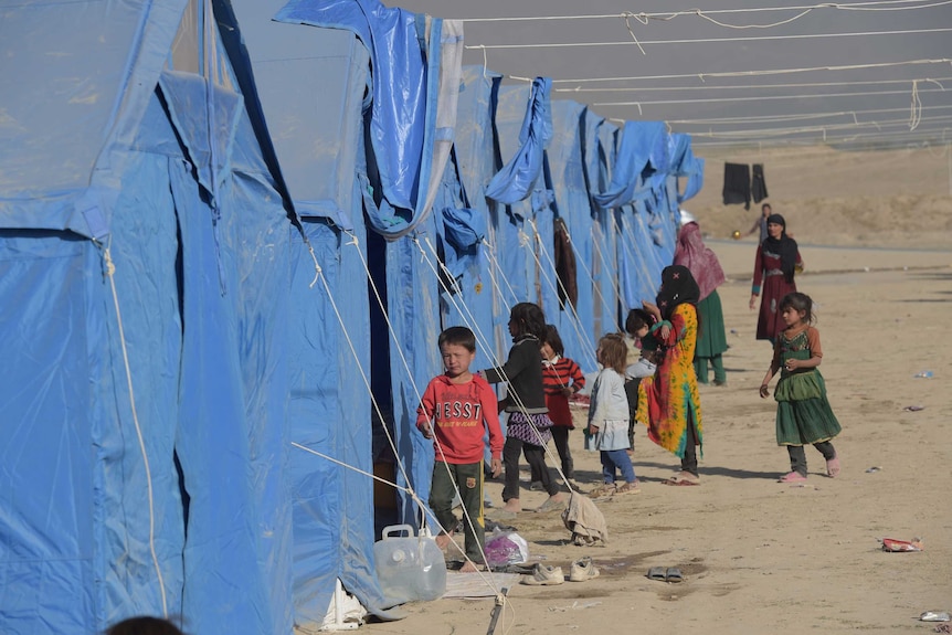 Blue tents lined up in a refugee camp in Afghanistan, 2016.