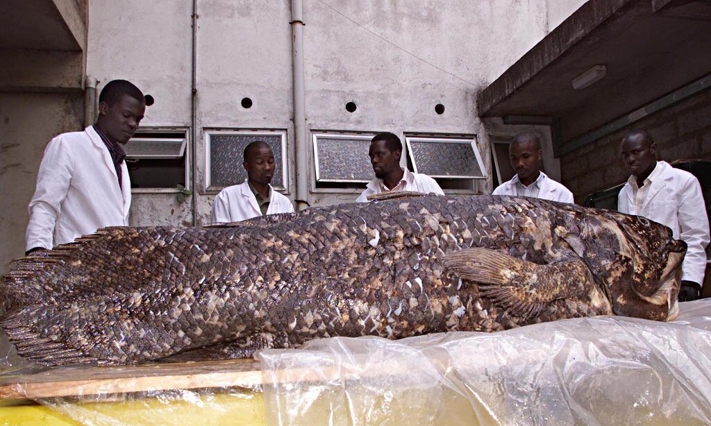 Staff of department of Fish Studies at the National Museum of Kenya display a Coelacanth fish.