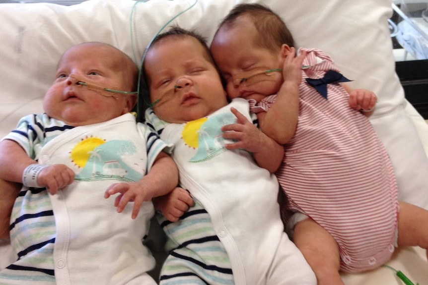 The triplets lie beside one another in hospital at three months of age