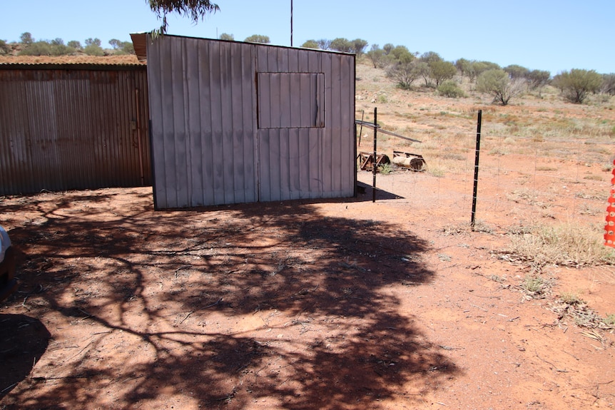 A patch of bare dirt next to a tin shed and wire fence