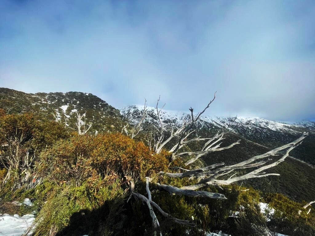 Mount Bogong episode artwork