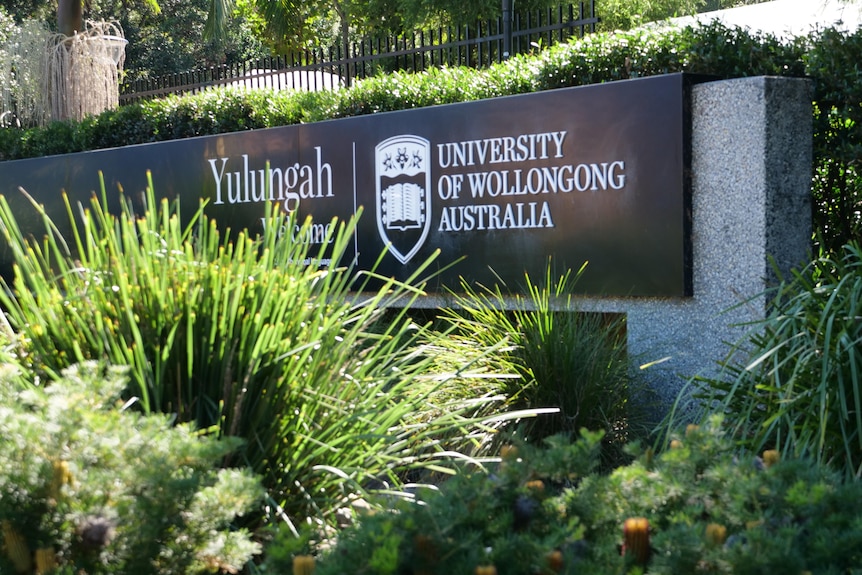 image of university sign behind shrubs
