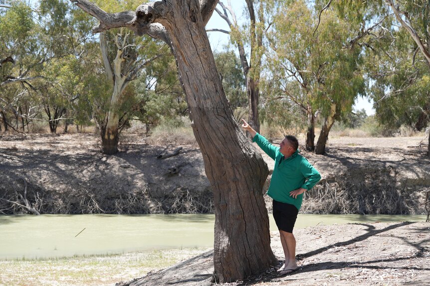A white man in a green shirt points to the high water mark of the Darling River at Menindee.