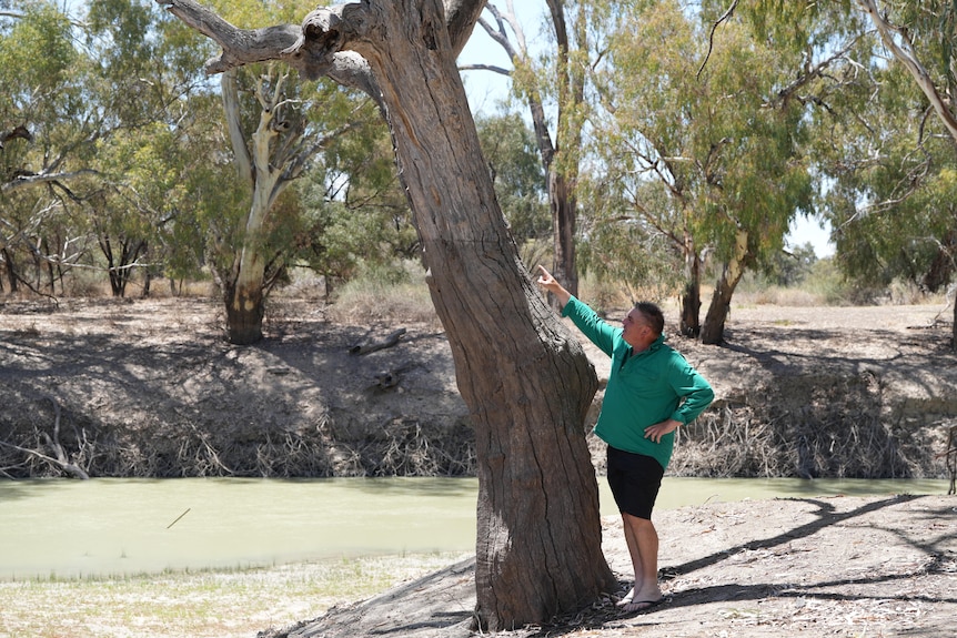 A white man in a green shirt points to the high water mark of the Darling River at Menindee.