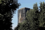 A burnt out Grenfell Tower seen behind trees.